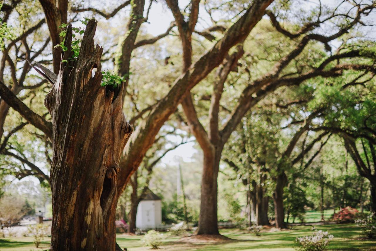 Bed and Breakfast The Myrtles St. Francisville Exterior foto