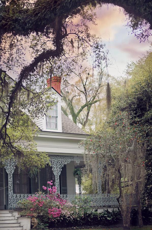 Bed and Breakfast The Myrtles St. Francisville Exterior foto